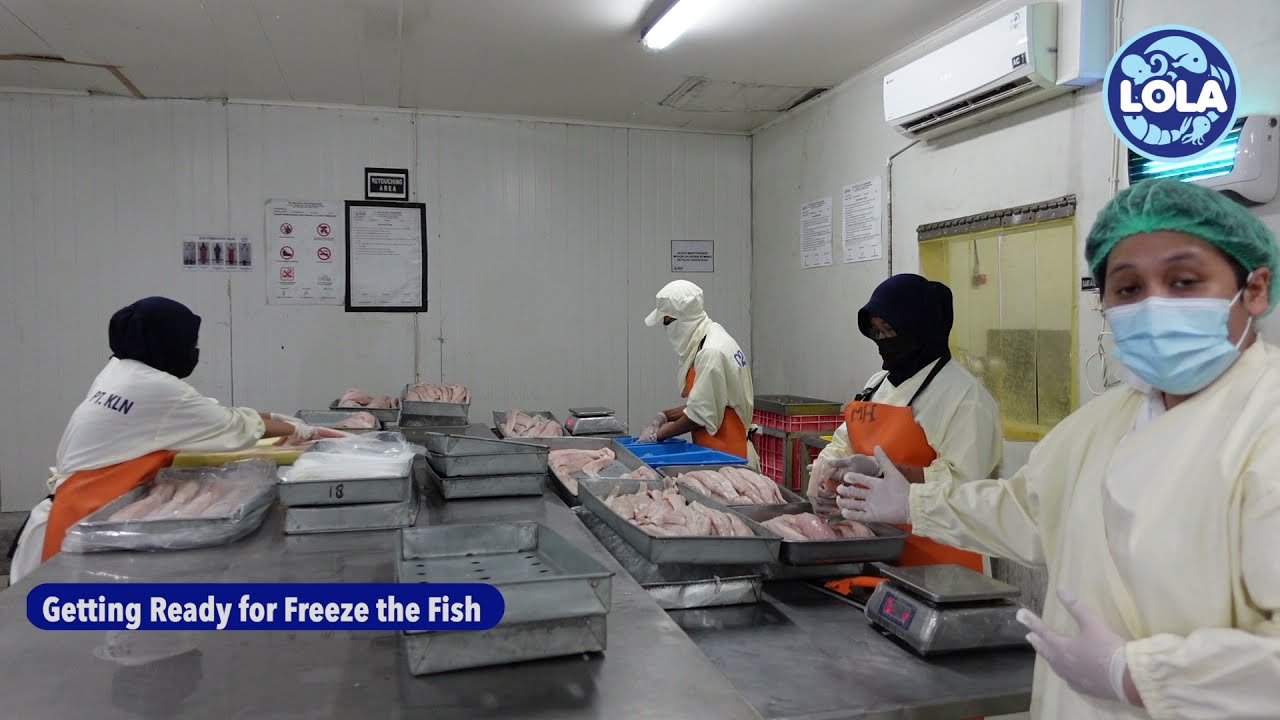 How to make BEST QUALITY FISH fillet products ? at Lola Seafood